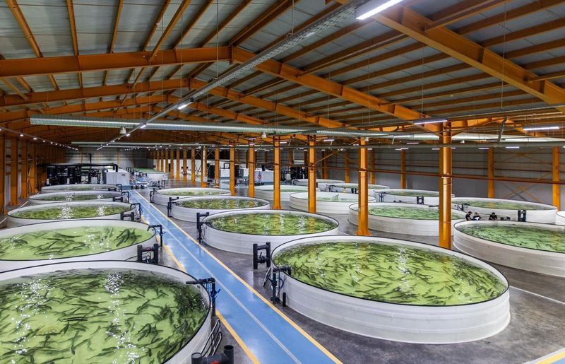 Excellence in Quality Control