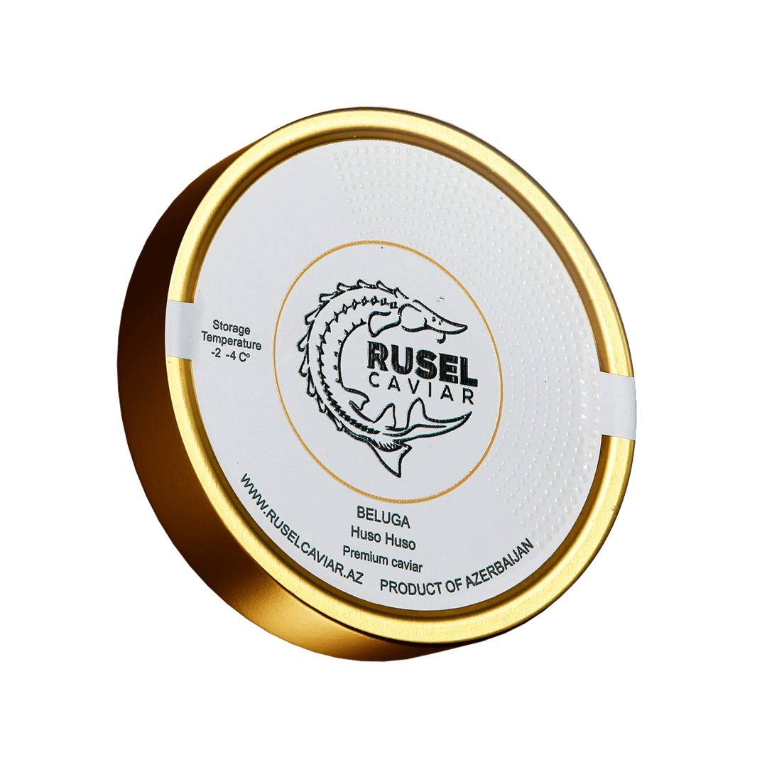 Beluga Huso Huso - Premium