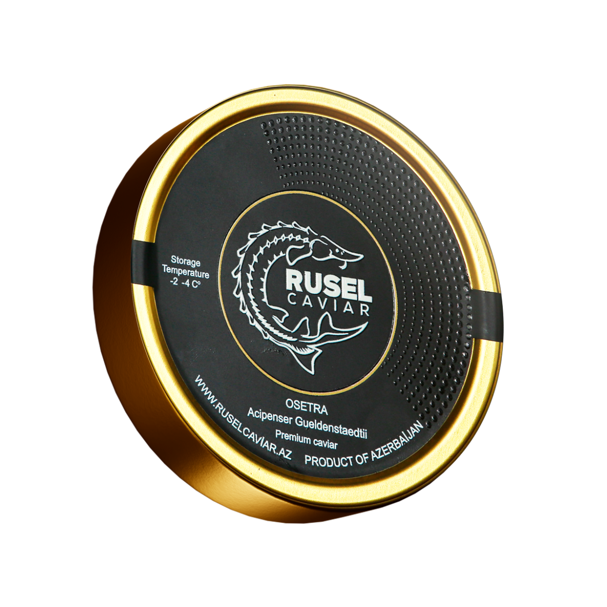 Osetra Acipenser Gueldenstaedtii - Premium